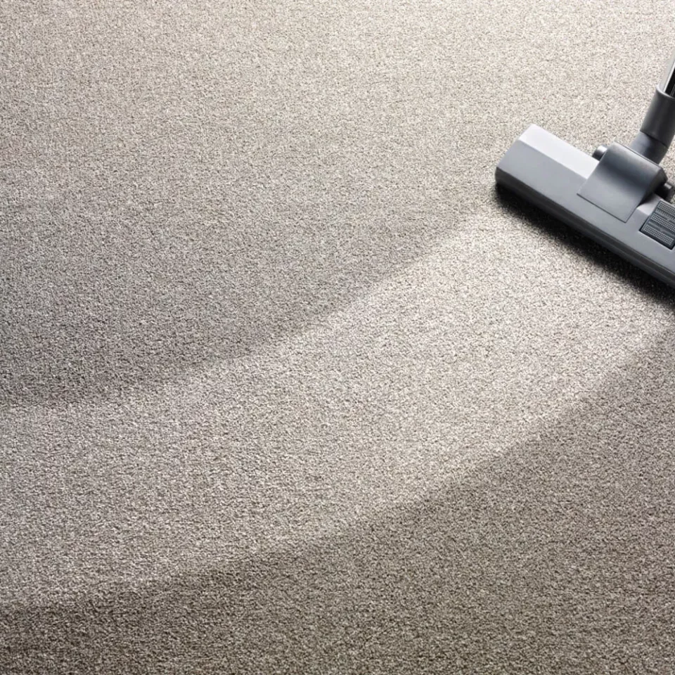 imgi_25_carpet-vacuum-4