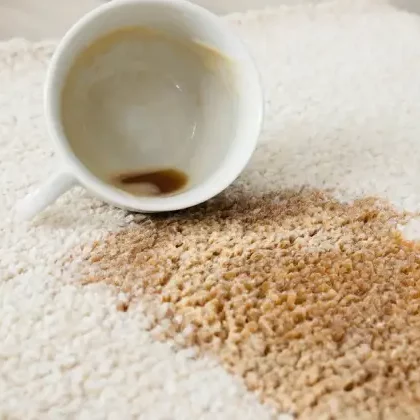 Area rug | Flooring By Design